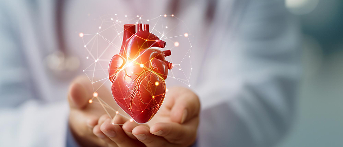 Heart Disease Heart Disease | Crowe & Shanahan Heart Disease | Crowe & Shanahan